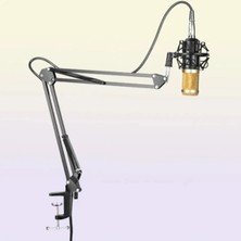 CHESTER Metal Akrobat Mikrofon Standı Shock Mount Titreşim Önleyici Yayıncı Sehpa Çift Kollu Stand