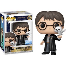 Funko Pop Movies: Harry Potter With Hedwig