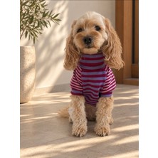 Maia Studio Preppy Çizgili Köpek Sweatshirt