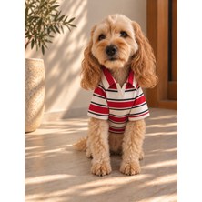 Maia Studio Preppy Polo Yaka Çizgili Köpek Sweatshirt