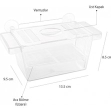 Atlantik Tekli Kristal Yavruluk 13,5 cm x 8,5 cm Hamile Balıklar İçin Güvenli Kullanım