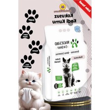 20 Lt Kokusuz Kedi Kumu - Kalın Taneli %100 Beyaz Bentonit