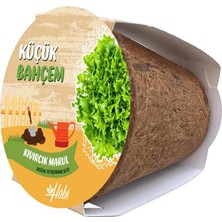 Gy Atelier Küçük Bahçem Marul Tohumu Yetiştirme Seti