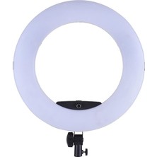 Gy Atelier Dison FE-480II Ring Light Bi-Color LED Sistem