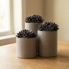 Gy Atelier Comes - Sıren 3'lü Minimalist Dekoratif Saksı Seti (Gri)