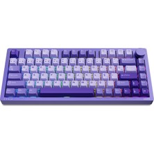 Gy Atelier Evnıa SPK8618 Mekanik Rgb 81 Tuş Usb/bluetooth/2.4g Kablosuz Oyuncu Klavyesi (Mor)