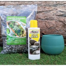 Gy Atelier 3'lü Set Kaktüs Besini 225 Ml+ 3 Lt Toprağı+ 0 55 Petrol Yeşil Saksısı Sıvı Gübresi