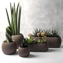 Gy Atelier Mercan Saksı Set Dekoratif Drenajlı Çizgili Mat (5 Parça, Kahve)