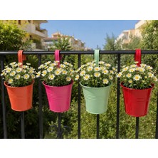 Gy Atelier Askılı Balkon Saksı Seti, 4 Adet, Metal, Karışık Renk, 1,5lt