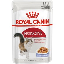 Gy Atelier Instinctive Jelly Pouch Yaş Kedi Maması, 85 gr x 12 Adet