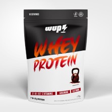 Gy Atelier Whey Protein, B1-B6-B12-C, Arjinin, Glutamin, Doğal Kakao, Çikolata, 576 gr 16 Servis
