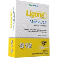 Gy Atelier Methyl B12 Dilaltı Sprey 30 ml