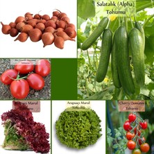 Gy Atelier 6 Paket Tohum NO20 Kıska Iska 1 Kg. Arpacık Soğan Salatalık Domates Marul Cherry Domates Tohumu