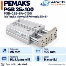 Pemaks Pgb 25×100 (PGB-025-SA-0100) Ikiz Yataklı Manyetikli Pnömatik Silindir