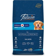 Gy Atelier Somonlu Yetişkin Köpek Maması Hipoalerjenik Orta&amp;büyük Irk 15 kg