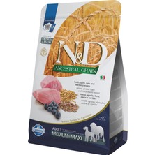 Gy Atelier Ancestral Grain Kuru Köpek Maması, Kuzu, Kılçıksız Buğday, Yulaf ve Yabanmersinli, Yetişkin Medium ve Maxi, 2.5 kg