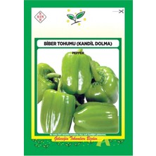 Gy Atelier Dolma Biber Tohumu 1 Paket 10 gr (2.800 Adet Tohum) Dolmalık Biber Tohumu Sebze Tohumu Çeşitleri