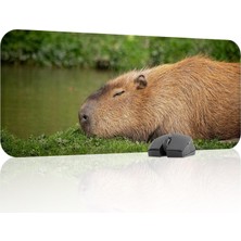 Gy Atelier Capybara Oyuncu Gaming Mouse Pad Kauçuk Kaymaz Taban Mousepad (V1, 70X30 Xl)