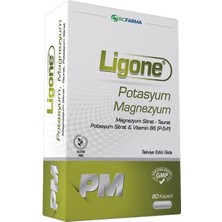 Gy Atelier Potasyum Magnezyum 60 Kapsül