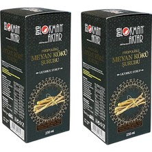 Gy Atelier Propolisli Meyan Kökü Şurubu, Bitkisel Içerikli, 230 Ml, Meyan Kökü, Propolis, Zencefil ve Ekinezya Içeren (2 Adet)