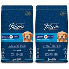 Gy Atelier Derma Care Adult Orta Büyük Irk Köpek Maması, Somonlu, Az Tahıllı, 3 kg x 2 Adet