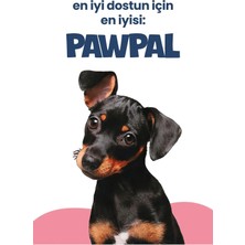 Gy Atelier Kuzu Etli Süper Premium Yavru Köpek Maması 3kg | Hipoalerjenik – Düşük Tahıllı – Yüksek Proteinli