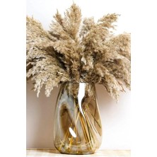 Gy Atelier 10 Adet Kurutulmuş Pampas Otu, 100 cm Boyunda Pampa Otu Görkemli Otu Kabarık Pampas Otu