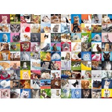Gy Atelier 1500 Parça Puzzle 99 Kedi