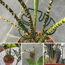 Gy Atelier Yaprak Görünümlü Bitki Gövde Sabitleme ve Destek Klipsi 4 Adet (Yeşil)