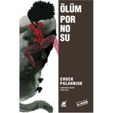 Ayrıntı Yayınları Ölüm Pornosu