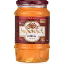Tr Yayla Çiçek Balı 650 G