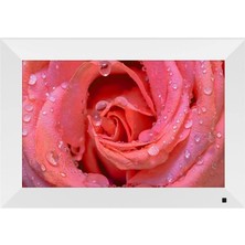 Tr Dijital Fotoğraf Çerçevesi 8 Inç Dijital Fotoğraf Çerçevesi, USB Sd Destekli Video/reklam/