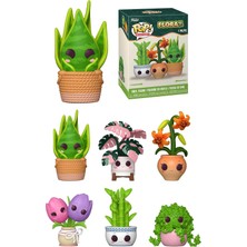 Pop! Mystery: Flora Plants Serisi Kör Kutu - Sürpriz Vinil Figür