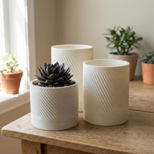 Comes - Kumru 3'lü Minimalist Dekoratif Saksı Seti (Beyaz)