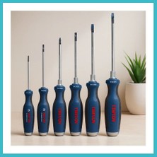 Defne Store 6 Parça Profesyonel Tornavida Seti (Ph2 / Ph1 / 3.5 / 4.5 / 5.5 / 6.5) Dfnbez