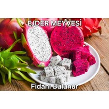 Kırmızı ve Beyaz Iki Adet Ejder Meyvesi Fidanı