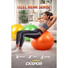 Tr 65CM Pilates Topu, Egzersiz Topu, Karışık Renk, Pilates Yoga Topu