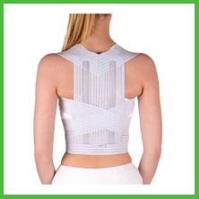 Bezos Dik Duruş Korsesi - 1320-L Arz