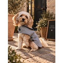 Maia Studio Nardo Gri Kaşe Köpek Kabanı-Köpek Montu