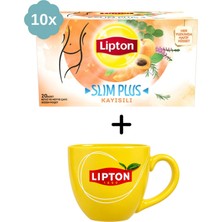 Lipton Slim Plus Kayısı Bardak Bitki ve Meyve Çayı x 10 Adet + Hediye Lipton Kupa