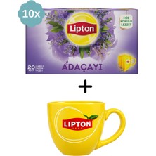 Lipton Adaçayı Bardak Bitki ve Meyve Çayı x 10 Adet + Hediye Lipton Kupa