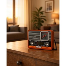 Vintage Radyo Nostaljik Tasarım XUCZZZNOSTALJİK1647RADYOOO-3