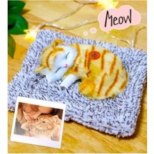 Çelik Kişiye Özel Fotoğraflı Sweet Cat Minderde Uyuyan Sesli Peluş Kedi