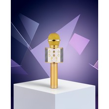 Ecruz Bluetooth USB Aux Girişli Yankılı Karaoke Mikrofonu