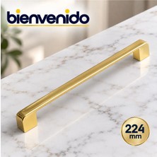 Gölcük Oval Gold Mobilya Mutfak Çekmece Dolabı Dolap Kapak 224 mm Metal Altın Kulpu