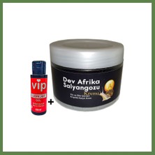 Bezos Giant Dev Afrikasalyangozu Yaşlanmakarşıtı 100 ml Krem + Vip Bay Bayan Kaydırıcıjel 60 ml HB006