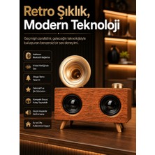 Salmore Gramafon Nostaljik Radyo Yüksek Ses Kalitesi USB Tf Kart Aux