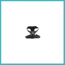 Defne Store Easy Walking Köpek Göğüs Tasması Xlarge Dfnbez