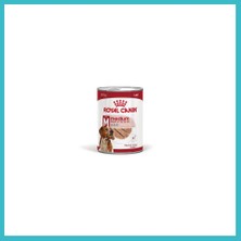 Defne Store Loaf Mousse Orta Irk Ezme Yetişkin Köpek Konservesi 410 gr Dfnbez