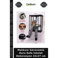Carlburn Mahkum Görünümlü Kuru Kafa Iskelet Dekorasyon 22X27 cm Cadılar Bayramı Korku Temalı Efektli Obje